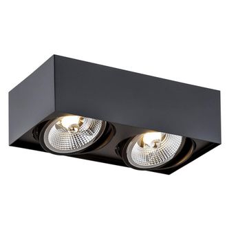 Netlighting Rodos Plus GU10 Twin Surface Mounted Downlight Black Structure