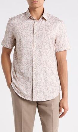 Bugatchi Short Sleeve Button Up Shirt in Papaya at Nordstrom Rack, Size Xx-Large