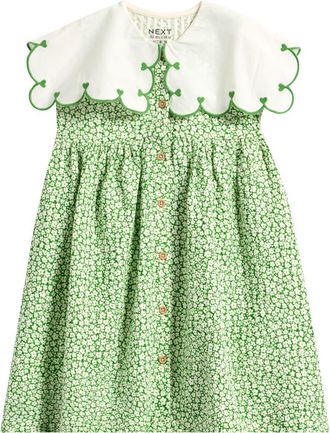 Next Kids Frill Collar Floral Print Dress in Green at Nordstrom, Size 6-7Y