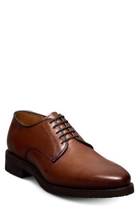 Allen Edmonds Ramsey Derby in Chili at Nordstrom, Size 10.5