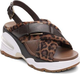 Ash Dixie Bis Leopard Slingback Slide Sandal at Nordstrom, Size 11Us