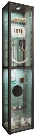 ebuy24 Ebuy24 - Vitrina De Vidrio Vcm De Pie Vitrina De Vidrio Con Vidrio De Seguridad Esg Dimensiones Aprox. Al. 227 X An. 50 X P. 38 Cm Soporte Vitrina De 
