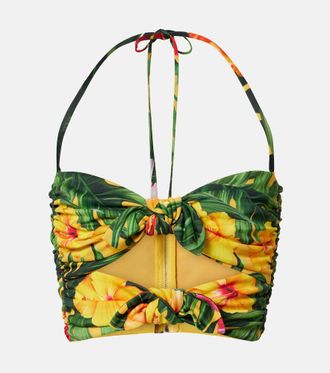 Dolce & Gabbana Cutout floral halterneck crop top