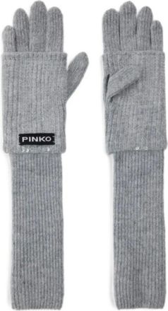 Pinko Pinko, Accessoires, Dames, Grijs, ONE Size, Grecia Handschoenen