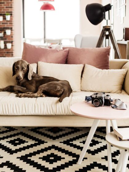 5 Errores de decoración que se cometen en el salón