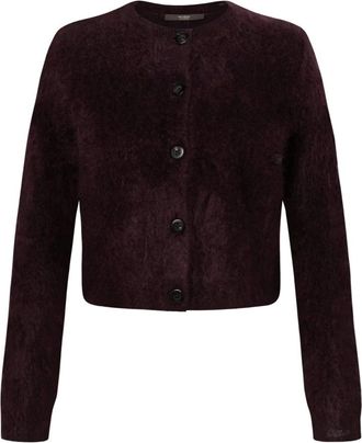 Windsor Donna, Maglie, Viola, M, new
