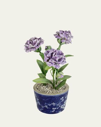 Tommy Mitchell Carnation January Birth Flower in Ceramic Pot
