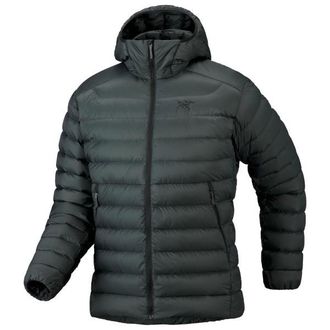 Arc'teryx Cerium Hoody Daunenjacke f&uuml;r Herren | grau/schwarz