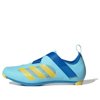 adidas The Indoor Cycling Blue Yellow GZ4762