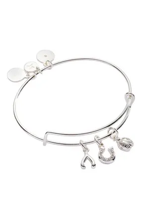 Alex and Ani Love and Luck Multi Charm Bangle Bracelet in Silver at Nordstrom