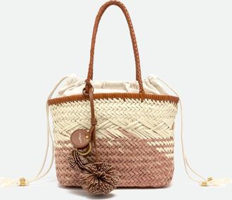Gianni Chiarini PALOMA