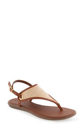 Aerosoles Conclusion Slingback Sandal in Natural Crochet Raffia at Nordstrom Rack, Size 9.5