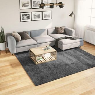vidaXL Rug OVIEDO Short Pile Anthracite 240x240 cm vidaXL