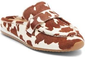 J/Slides Paula Genuine Calf Hair Mule in Brown Cow Print Calf Hair at Nordstrom Rack, Size 6.5