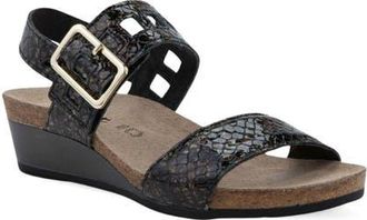 Naot Dynasty Wedge Sandal in Reptile Patent at Nordstrom, Size 11Us