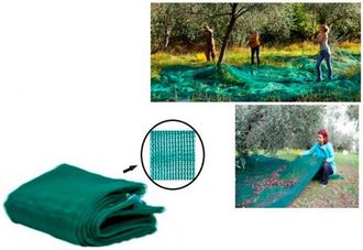 Trade Shop Trade Shop - Copy Of Rete Per Raccolta Olive Frutta Piantagioni Resistente Durevole 3x6mt 75g/m2 Verde 222269