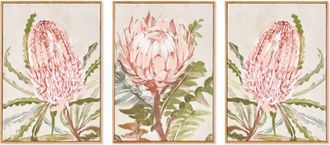 Napa Home & Garden Queen Protea Giclees, Set of 3 - Pink Canvas Art at Nordstrom