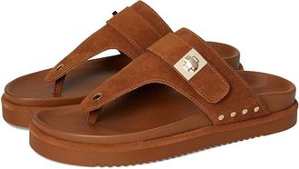 Steve Madden Thona Womens Sandals Chesnut Suede : 8.5 M