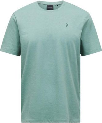 Peak Performance Explore Graphic Tee Funktionsshirt f&uuml;r Herren | t&uuml;rkis