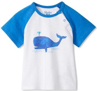 Hatley Kids Spouting Whale Graphic Baseball T-Shirt in White at Nordstrom, Size 12-18M