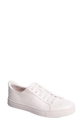 Marc Joseph New York Robinson Street Low Top Sneaker in White at Nordstrom Rack, Size 6.5