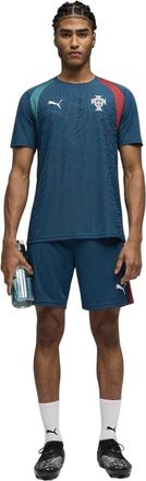 Puma Heren WK 2026 Portugal Trainings-T-shirt (Groen/zilver)