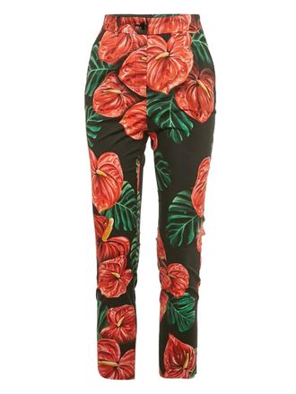 Dolce & Gabbana floral-print trousers - Black