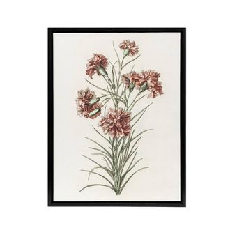 Artery8 Six Carnations Vintage Illustration Teyler Black Framed Canvas Art in White | Size: W24 x H32