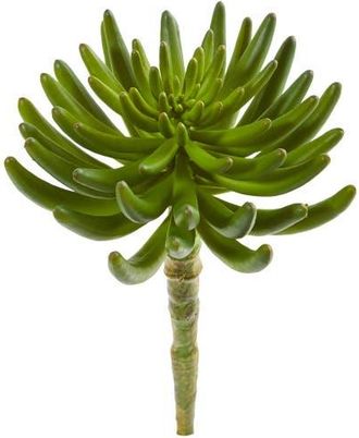 Nearly Natural 12-in Succulent Artificial Plant in Green at Nordstrom