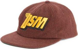 Diet Starts Monday DSM Wing Wool Hat in Brown at Nordstrom Rack