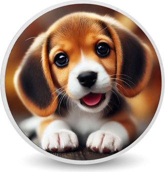 OEM Moneda De Plata De 1 Oz Con Ojos De Cachorro De Alegr&iacute;a