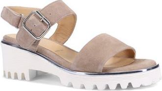 Ron White Elaria Ankle Strap Sandal in Porcini at Nordstrom, Size 10-10.5Us