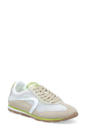 Verbenas Jamaica Sneaker in Oyster at Nordstrom, Size 11Us