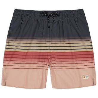Barts Amadouc Shorts Badehose f&uuml;r Herren | grau