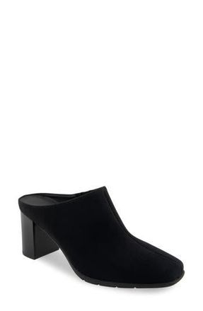 Aerosoles Maddy Square Toe Mule in Black Stretch Gabardine Fabric at Nordstrom Rack, Size 9.5