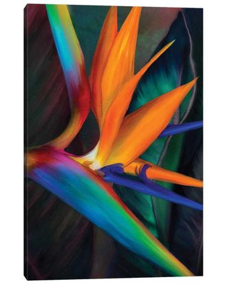 iCanvas Icanvas Birds Of Paradise Wall Art