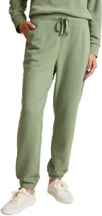 Tommy Bahama Marina Del Mar Cotton Joggers in Dusty Sage at Nordstrom, Size X-Small