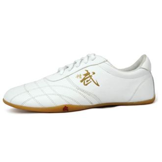 Generic Taekwondo Shoes, Martial Arts Sneakers, Sport Boxing Kung Fu Taichi Lightweight for Adults and Children(White,10.5 UK Child)