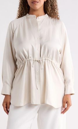 Eileen Fisher Silk Mandarin Collar Shirt in Plstr at Nordstrom, Size 2X
