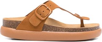 Scholl buckle-fastening thong sandals - women - Rubber/Calf Leather/Calf Leather - 38 - Brown