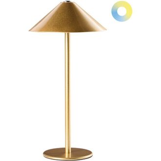 Beliani L&aacute;mpara Led Inal&aacute;mbrica De Metal Para Interior Y Exterior Recargable Por Puerto Usb C Dorado Modjo