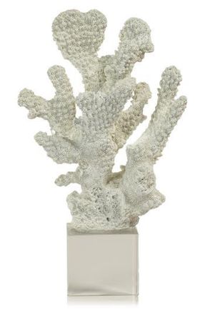 Zodax Coral on Base Decor in White/Clear at Nordstrom Rack