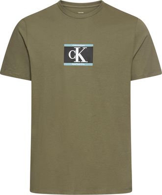 Calvin Klein T-Shirt CALVIN KLEIN SS 30s E SPRTSWR 3 G, Herren, Gr. XXL, gr&uuml;n (dusty olive), Single Jersey, Obermaterial: 100% Baumwolle, unifarben, regular fit h&uuml;