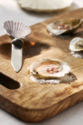 Anthropologie Shelton Metal Shell Oyster Knife