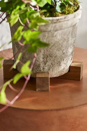Terrain Square Teak Pot Feet, Set of 4