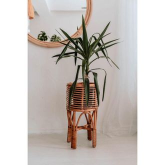 OEM Parte De Flores De Caramelo De Pollie