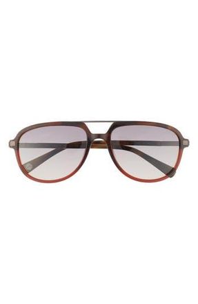 Ted Baker 59mm Full Rim Polarized Aviator Sunglasses in Amber Tortoise at Nordstrom Rack