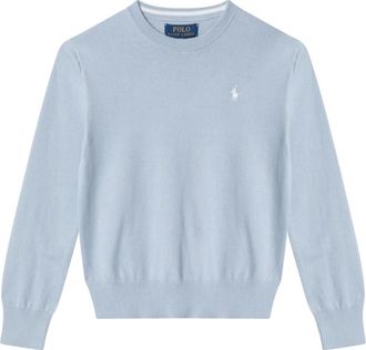 Polo Ralph Lauren Truien & Vesten, Heren, Blauw, S, Katoen, Pullover met lange mouwen