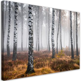 Feeby Impresi&oacute;n De Imagen, Bosque De Abedules En La Niebla Paisaje, 100x70