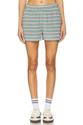 Beach Riot Rayah Short In Sage Bloom Stripe